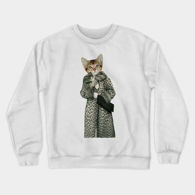 Kitten Dressed as Cat Crewneck Sweatshirt by Cassia